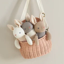 Cottontails Baby Soft Toy Bunnies|Bunnies For Babies|Baby Threads organic bunny toy