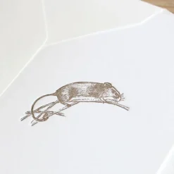 Cottontails Baby Cards|Cottontails handmade card - field mouse