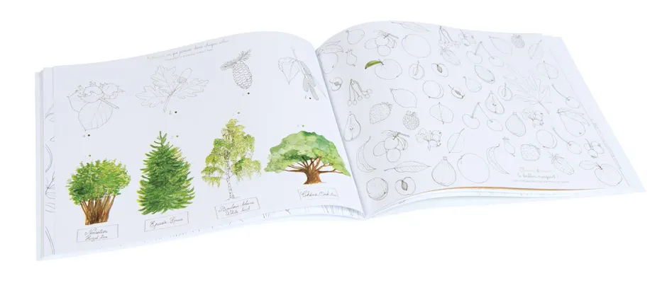 Cottontails Baby Craft & Stickers|Garden & Nature|Moulin Roty Garden Activity book