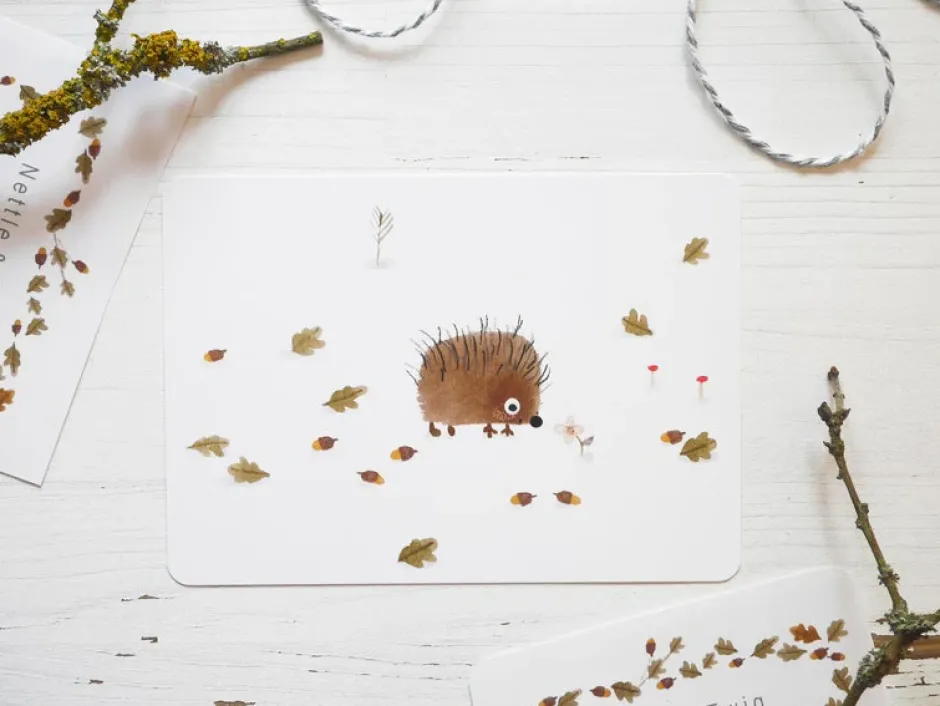 Cottontails Baby Cards|Postcard & Envelope - Little Hedgehog