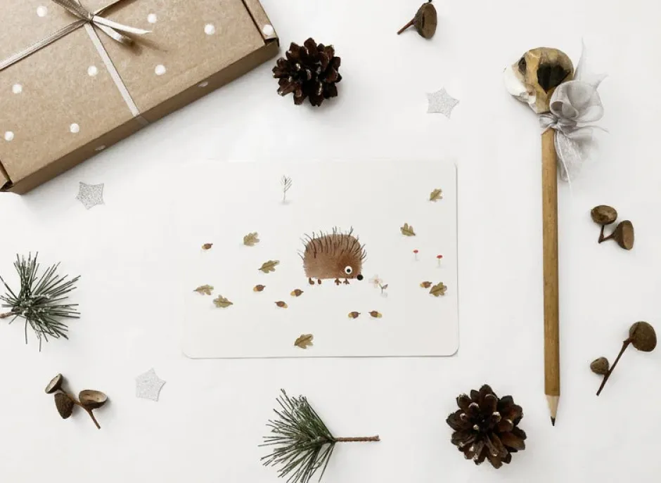 Cottontails Baby Cards|Postcard & Envelope - Little Hedgehog