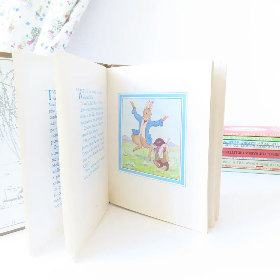 Cottontails Baby Vintage|Vintage Bunnies|VINTAGE book - Moldy warp the Mole (1975)