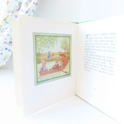 Cottontails Baby Vintage|Vintage Bunnies|VINTAGE book - Water-Rat's Picnic (1969)