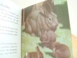 Cottontails Baby Vintage|VINTAGE Ladybird - Book of Pets (1967)