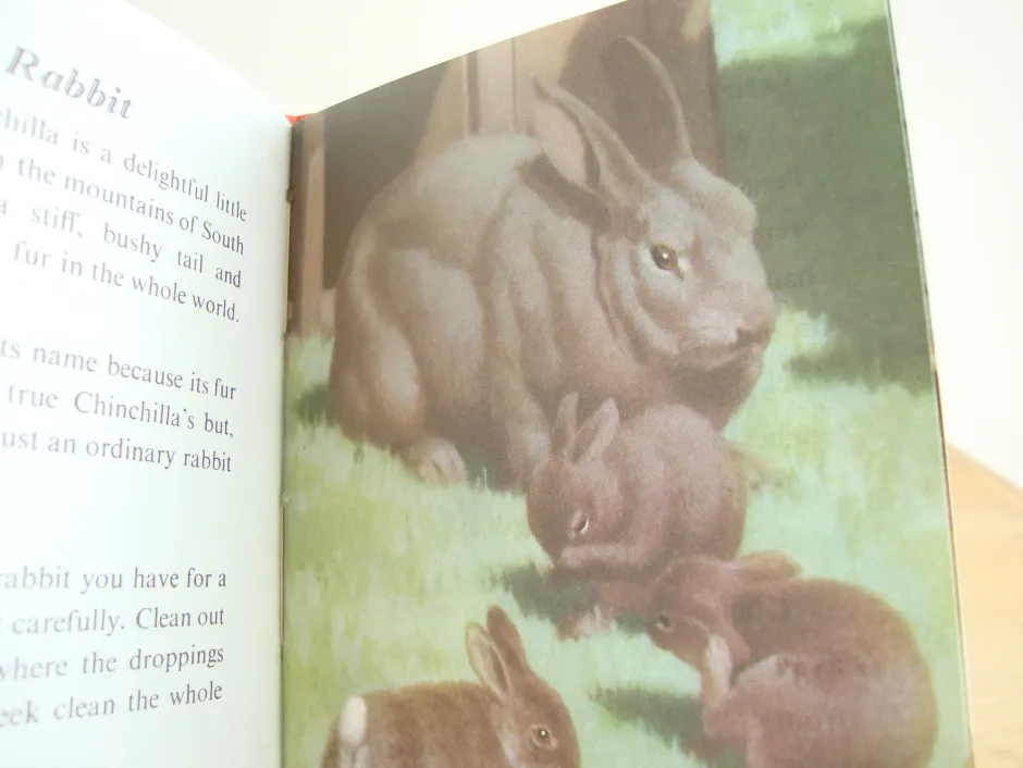 Cottontails Baby Vintage|VINTAGE Ladybird - Book of Pets (1967)