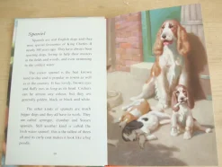 Cottontails Baby Vintage|VINTAGE Ladybird - Book of Pets (1967)