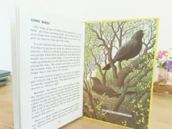 Cottontails Baby Vintage|VINTAGE Ladybird book - Birds and How They Live (1969)