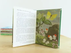 Cottontails Baby Vintage|VINTAGE Ladybird book - Butterflies. Moths and Other Insects (1974/5)