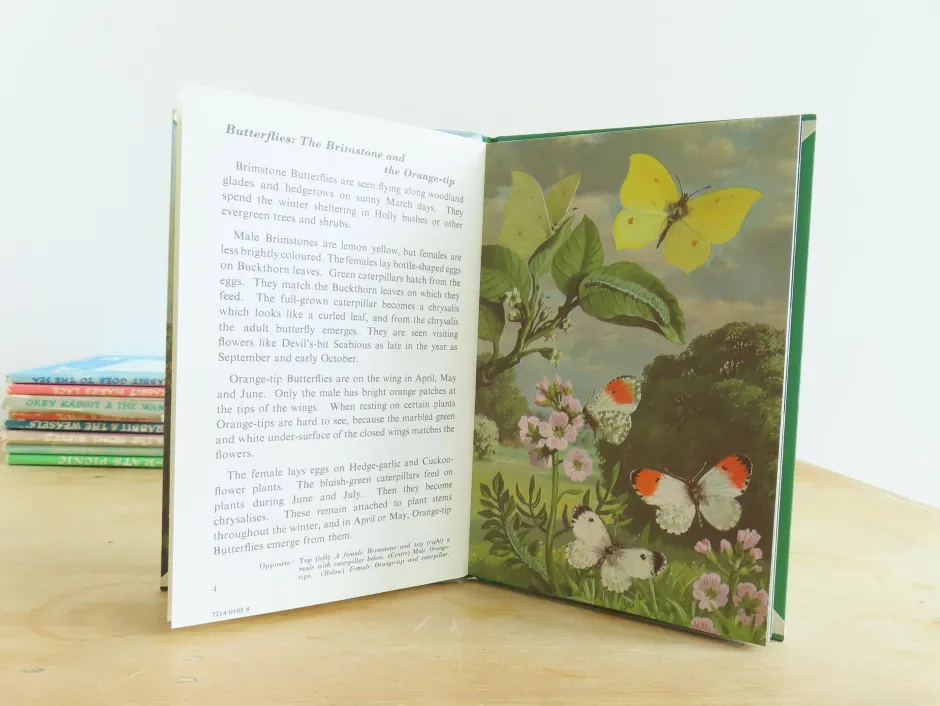 Cottontails Baby Vintage|VINTAGE Ladybird book - Butterflies. Moths and Other Insects (1974/5)