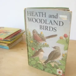 Cottontails Baby Vintage|VINTAGE Ladybird book - Heath & Woodland Birds (mid 1970s)