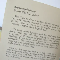 Cottontails Baby Vintage|VINTAGE Ladybird book - Heath & Woodland Birds (mid 1970s)