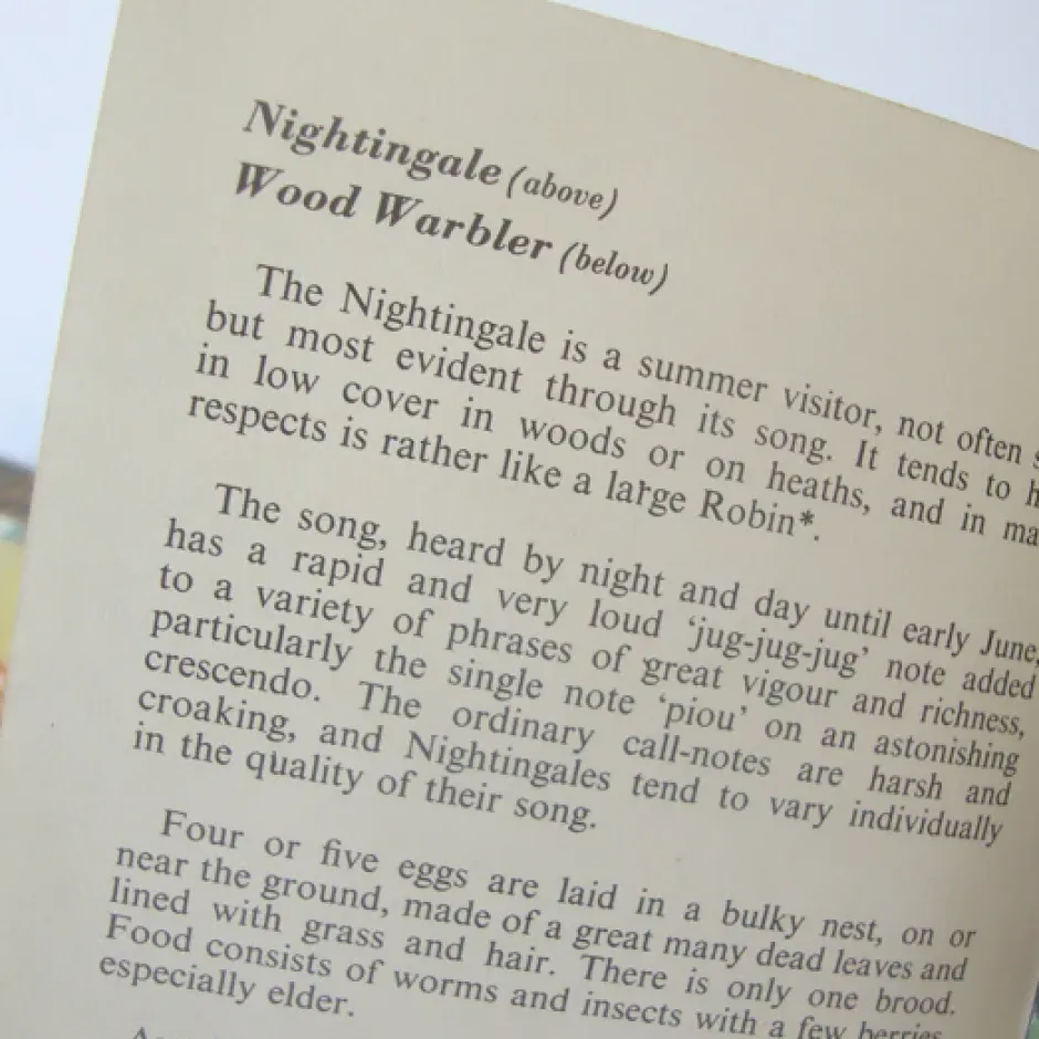 Cottontails Baby Vintage|VINTAGE Ladybird book - Heath & Woodland Birds (mid 1970s)