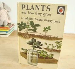Cottontails Baby Vintage|VINTAGE Ladybird book - Plants and how they Grow (c. 1971)