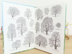 Cottontails Baby Vintage|VINTAGE Ladybird book - Trees (1970s)