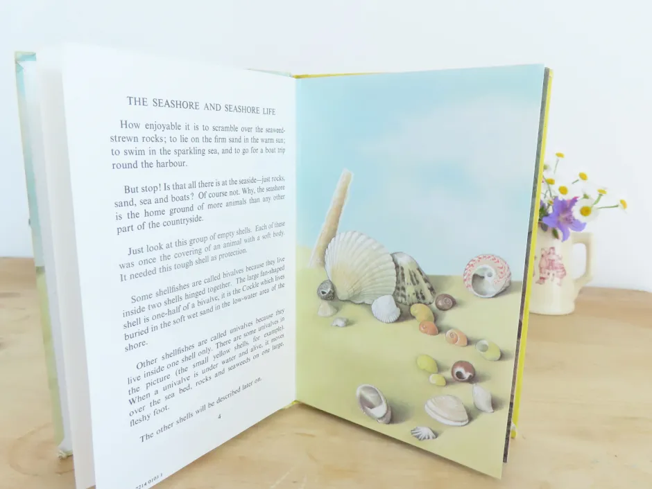 Cottontails Baby Vintage|VINTAGE Ladybird book - The Seashore (1970s)