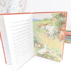 Cottontails Baby Vintage|VINTAGE Ladybird book - Beaky the Greedy Duck (mid 1960s)