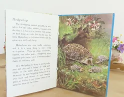 Cottontails Baby Vintage|VINTAGE Ladybird book - British Wild Animals (1971)