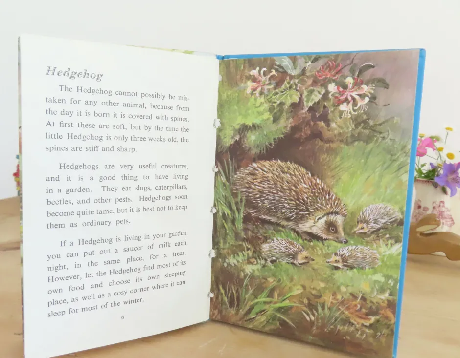 Cottontails Baby Vintage|VINTAGE Ladybird book - British Wild Animals (1971)