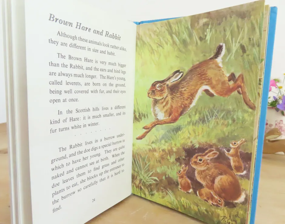Cottontails Baby Vintage|VINTAGE Ladybird book - British Wild Animals (1971)
