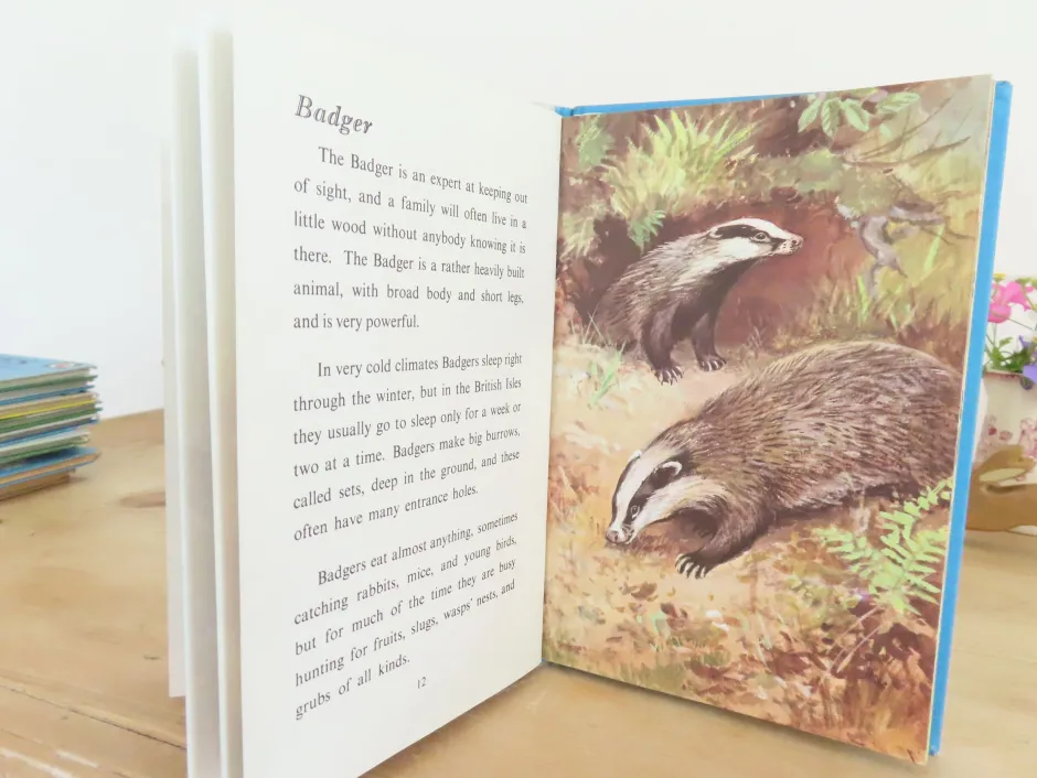 Cottontails Baby Vintage|VINTAGE Ladybird book - British Wild Animals (1971)