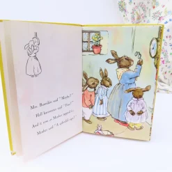 Cottontails Baby Vintage|Vintage Bunnies|VINTAGE Ladybird book - Bunnikin's Picnic Party (1971)