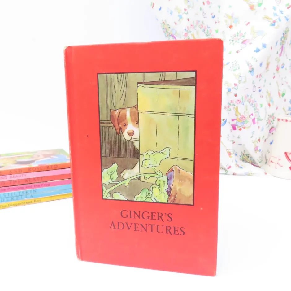 Cottontails Baby Vintage|VINTAGE Ladybird book - Ginger's Adventures (mid 1960s)