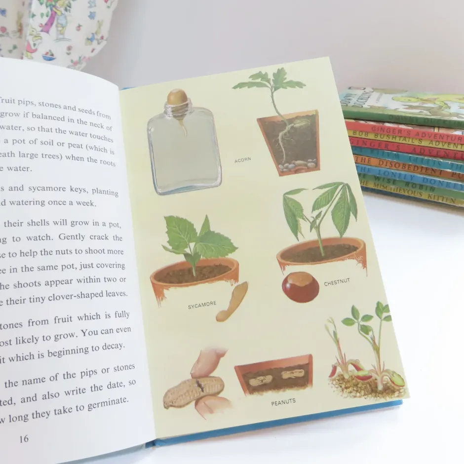 Cottontails Baby Vintage|VINTAGE Ladybird book - Indoor Gardening (c.1971)