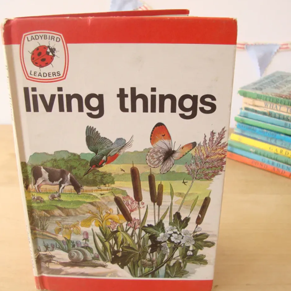 Cottontails Baby Vintage|VINTAGE Ladybird book - Living Things (mid-late 1970s)