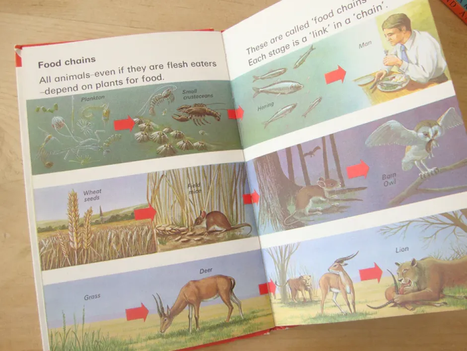 Cottontails Baby Vintage|VINTAGE Ladybird book - Living Things (mid-late 1970s)