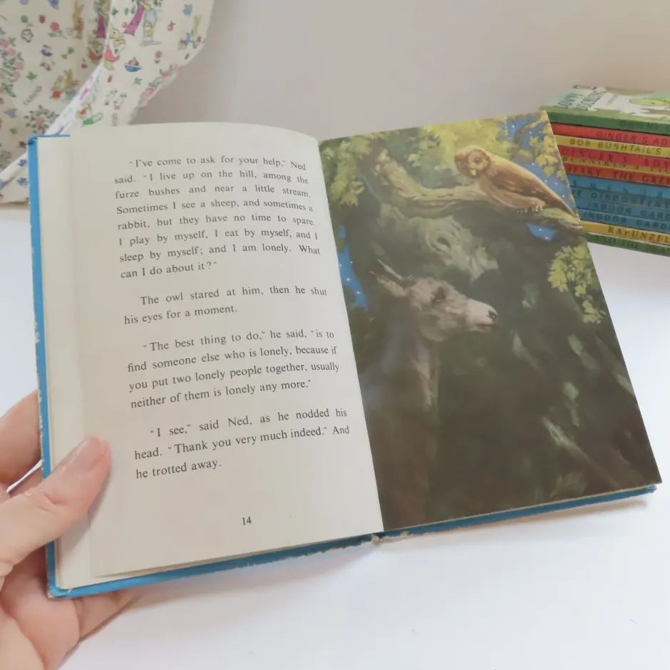 Cottontails Baby Vintage|VINTAGE Ladybird book - Ned the Lonely Donkey (mid 1960s)