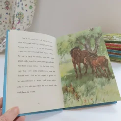 Cottontails Baby Vintage|VINTAGE Ladybird book - The Discontented Pony (late 1970s)