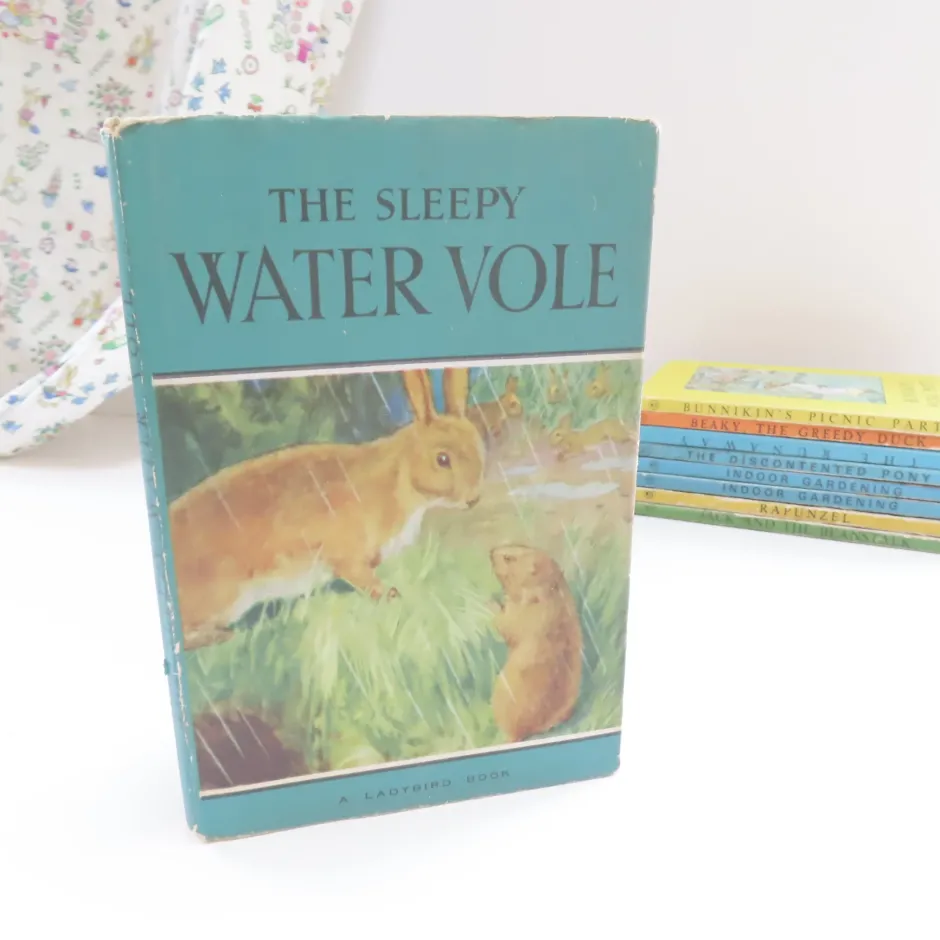 Cottontails Baby Vintage|VINTAGE Ladybird book - The Sleepy Water Vole with DJ (late 1950s)