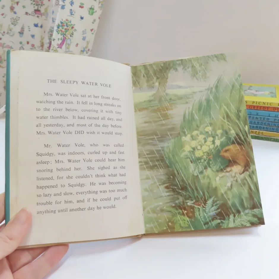 Cottontails Baby Vintage|VINTAGE Ladybird book - The Sleepy Water Vole with DJ (late 1950s)