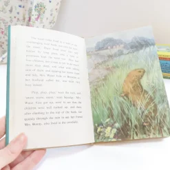 Cottontails Baby Vintage|VINTAGE Ladybird book - The Sleepy Water Vole with DJ (late 1950s)