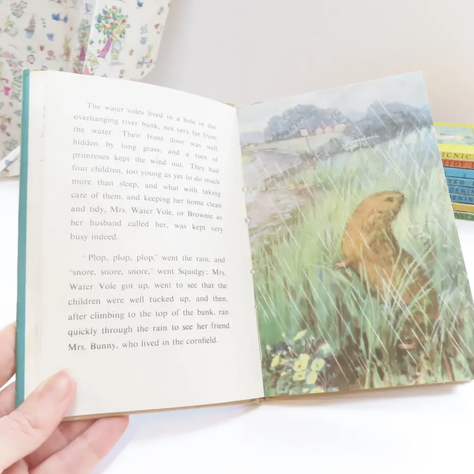 Cottontails Baby Vintage|VINTAGE Ladybird book - The Sleepy Water Vole with DJ (late 1950s)