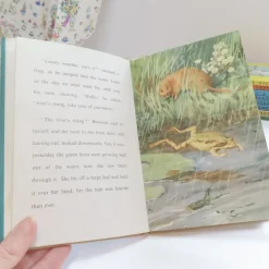 Cottontails Baby Vintage|VINTAGE Ladybird book - The Sleepy Water Vole with DJ (late 1950s)