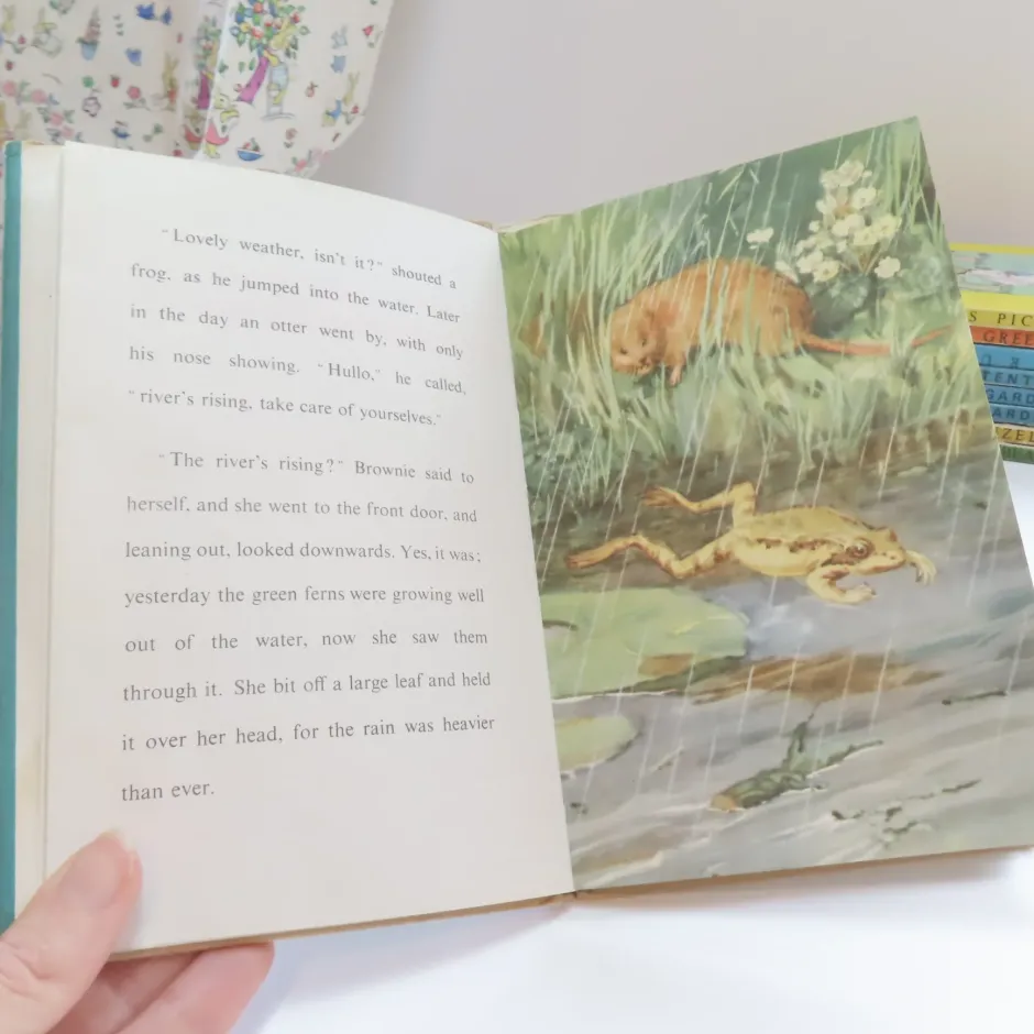 Cottontails Baby Vintage|VINTAGE Ladybird book - The Sleepy Water Vole with DJ (late 1950s)