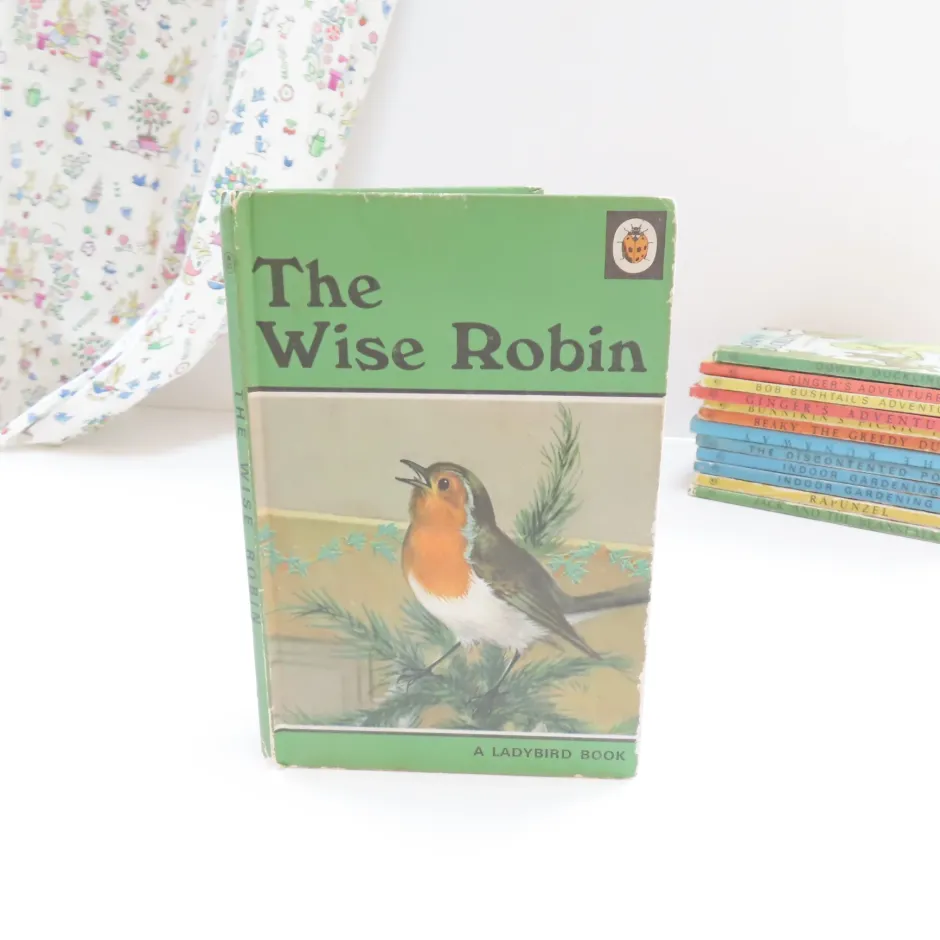 Cottontails Baby Vintage|VINTAGE Ladybird book - The Wise Robin (c.1970)