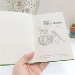 Cottontails Baby Vintage|VINTAGE Ladybird book - The Wise Robin (c.1970)