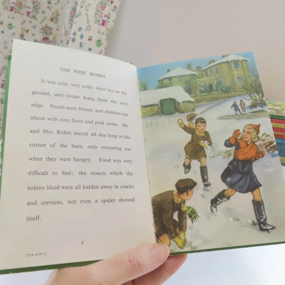 Cottontails Baby Vintage|VINTAGE Ladybird book - The Wise Robin (c.1970)