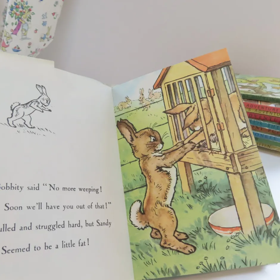 Cottontails Baby Vintage|VINTAGE Ladybird book - The Runaway with DJ (late 1950s)