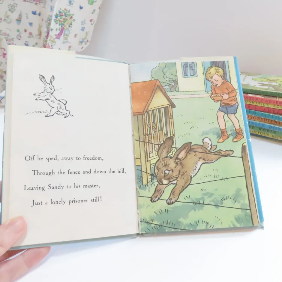 Cottontails Baby Vintage|VINTAGE Ladybird book - The Runaway with DJ (late 1950s)