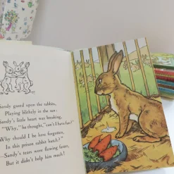 Cottontails Baby Vintage|VINTAGE Ladybird book - The Runaway with DJ (late 1950s)