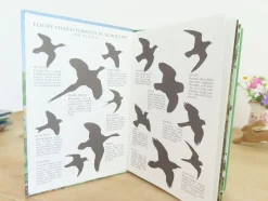 Cottontails Baby Vintage|VINTAGE Ladybird book of Heath and Woodland Birds (1971)