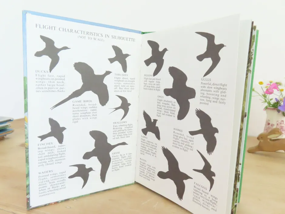 Cottontails Baby Vintage|VINTAGE Ladybird book of Heath and Woodland Birds (1971)