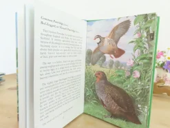 Cottontails Baby Vintage|VINTAGE Ladybird book of Heath and Woodland Birds (1971)