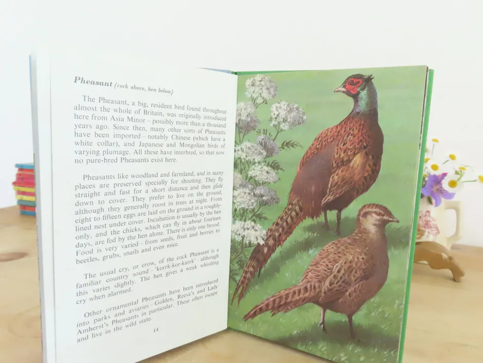 Cottontails Baby Vintage|VINTAGE Ladybird book of Heath and Woodland Birds (1971)